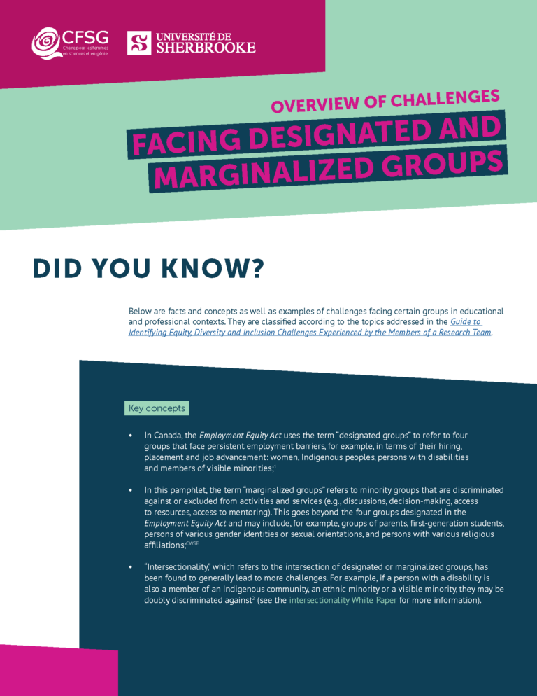 Overview of Challenges Facing Designated and Marginalized Groups